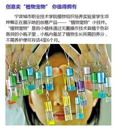 從北大屠夫到河北生物創業者 高學歷人才投身傳統行業的創新啟示